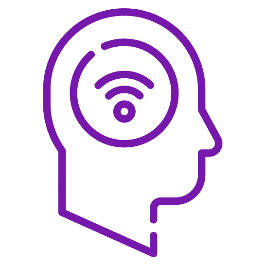 brain 1