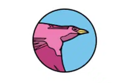 blackbird.jpg